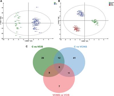 A serum metabolomics study of vascular cognitive impairment patients based on Traditional Chinese medicine syndrome differentiation